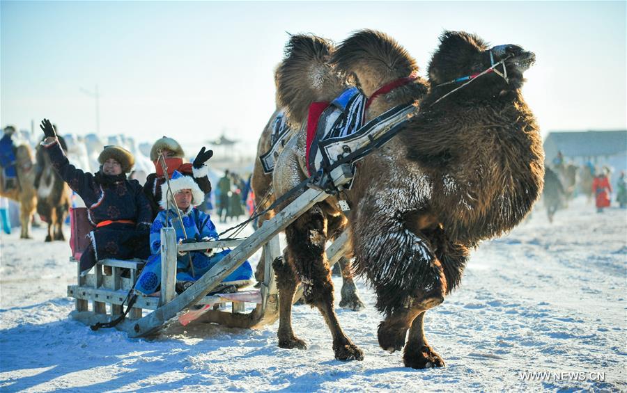 CHINA-INNER MONGOLIA-CAMEL FAIR (CN)