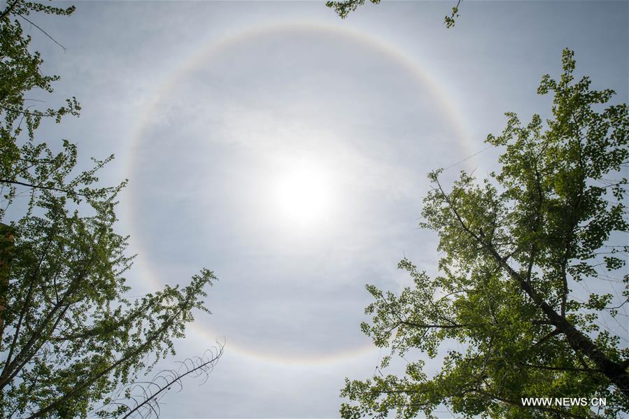 CHINA-KUNMING-SOLAR HALO (CN)