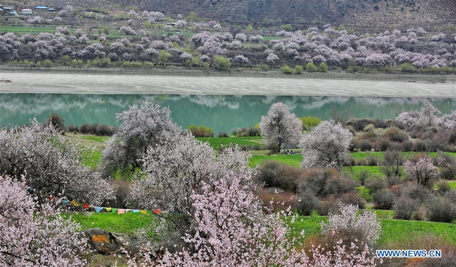 #CHINA-TIBET-SCENERY (CN)