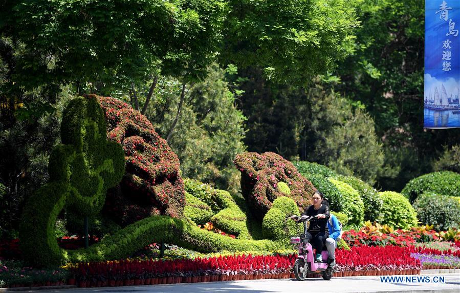 CHINA-QINGDAO-SCO SUMMIT-CITY SCENERY (CN)