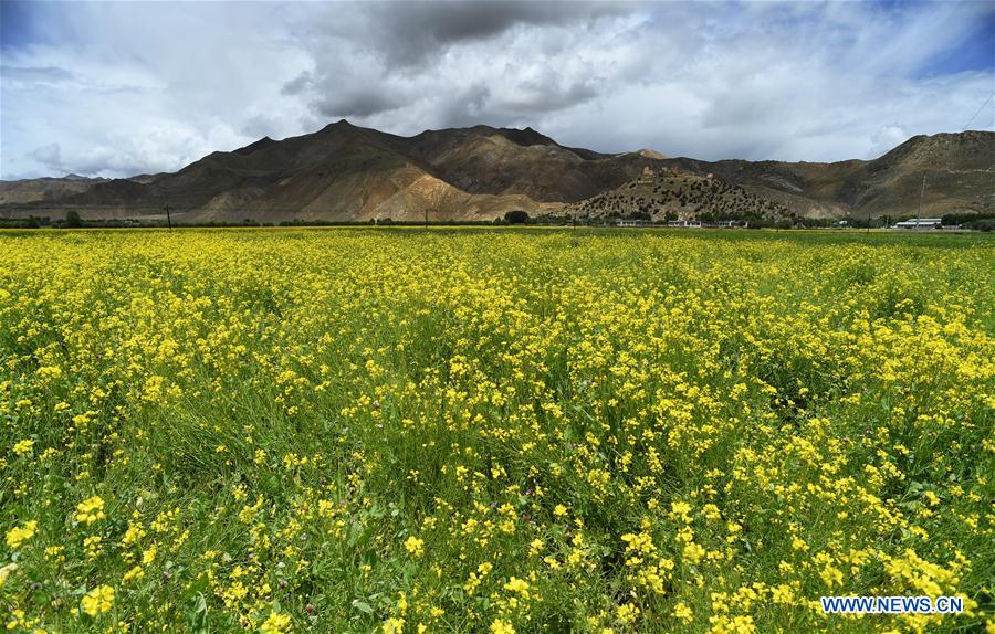 CHINA-TIBET-XIGAZE-SCENERY (CN)