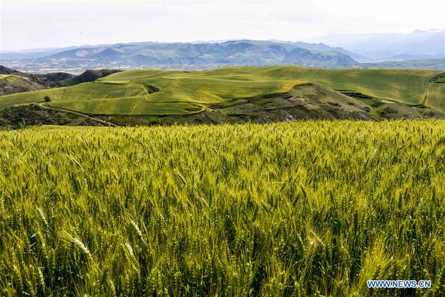 CHINA-XINJIANG-CHANGJI-SCENERY (CN)