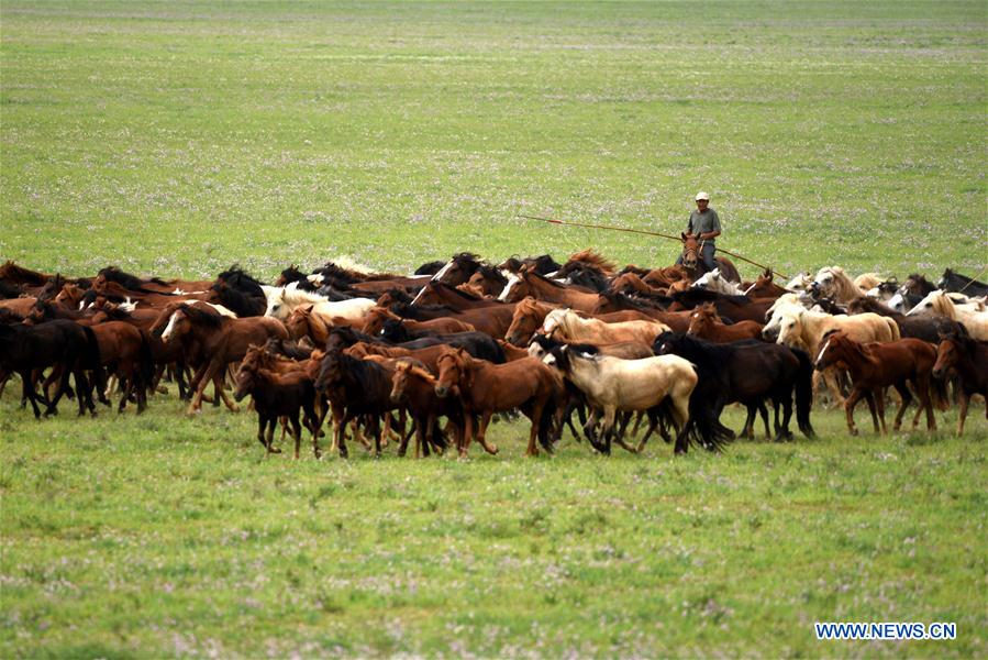 #CHINA-INNER MONGOLIA-SCENERY (CN)