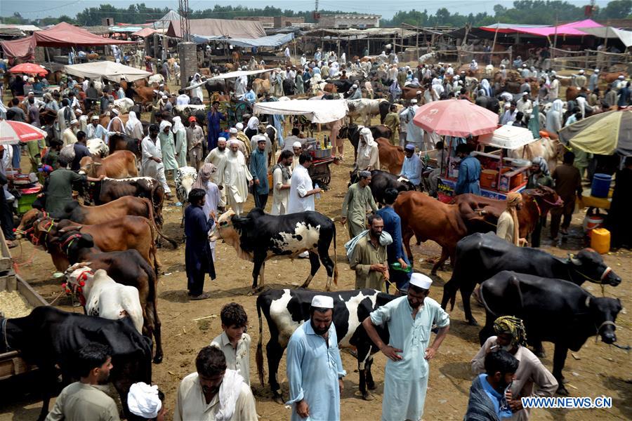 PAKISTAN-PESHAWAR-EID AL-ADHA-MARKET