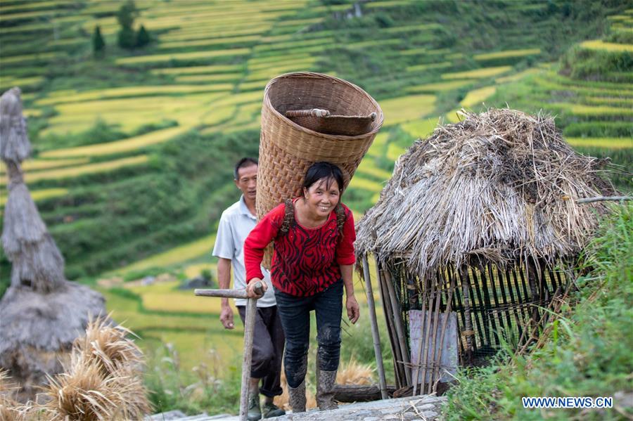 CHINA-CHONGQING-FARMWORK-TOURISM (CN)