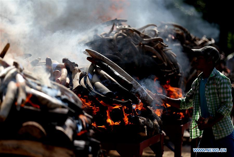 MYANMAR-NAY PYI TAW-ELEPHANT IVORY AND WILDLIFE PARTS-DESTURCTION CEREMONY