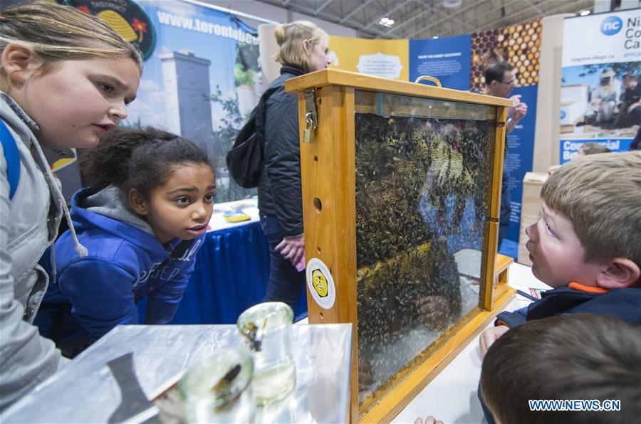 CANADA-TORONTO-ROYAL AGRICULTURAL WINTER FAIR