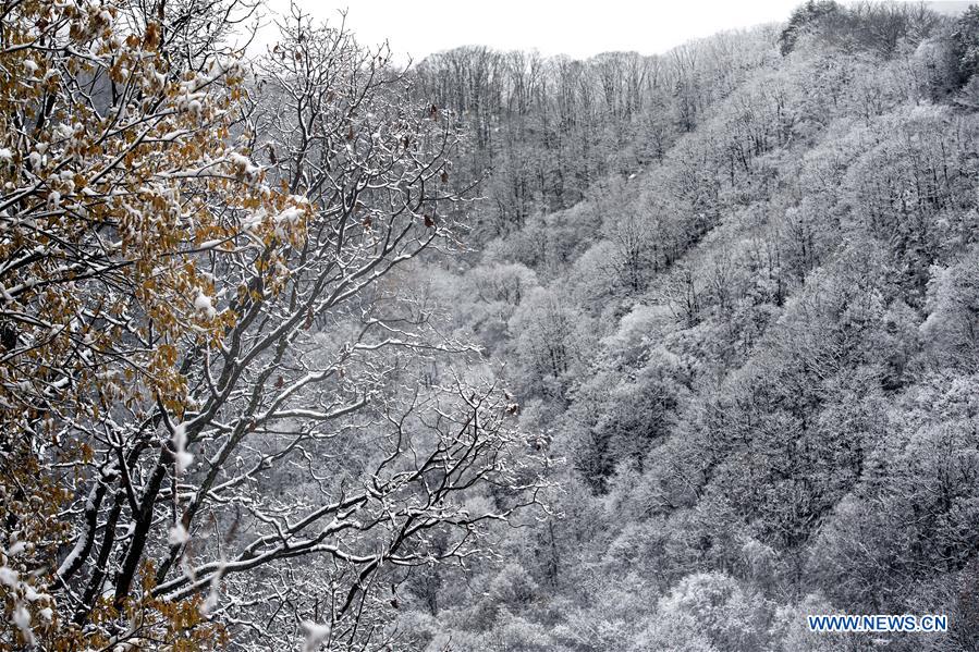 CHINA-SHAANXI-FOPING-SNOW SCENERY (CN)