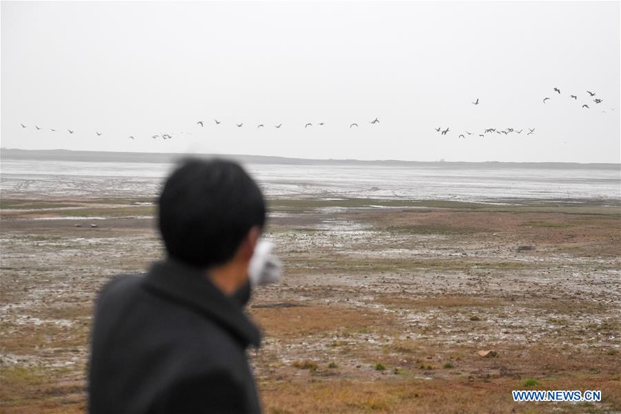 CHINA-ANHUI-MIGRANT BIRD-PROTECTOR (CN)