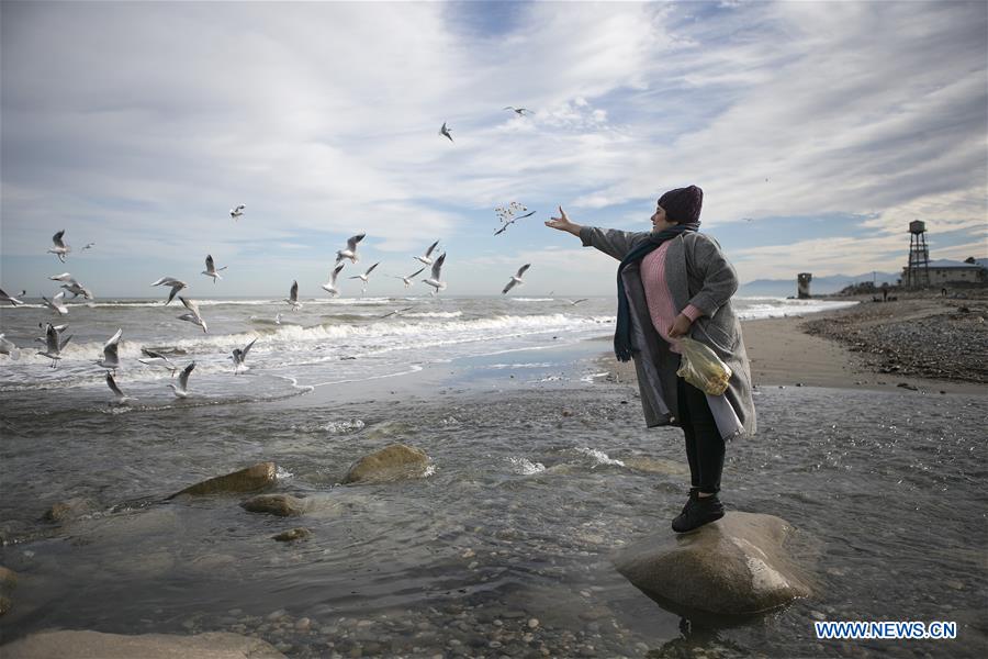 IRAN-MAZANDARAN-MIGRANT BIRDS