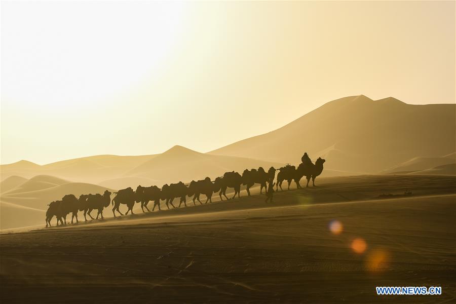 CHINA-INNER MONGOLIA-CAMEL NADAM (CN)