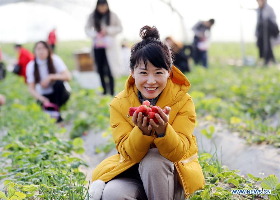 CHINA-HEBEI-HENGSHUI-FARM-TOURISM (CN)