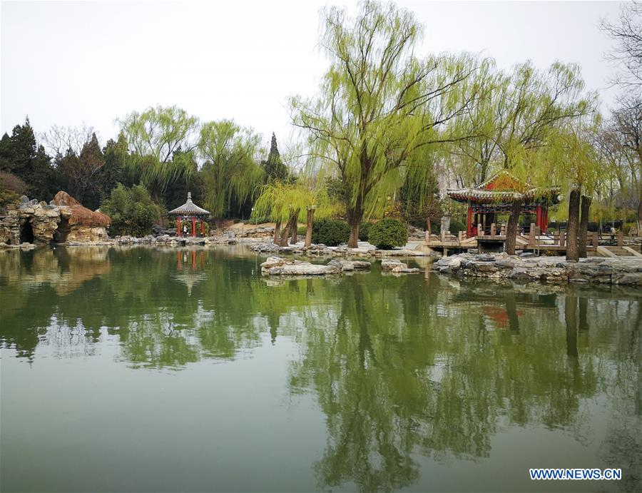 (BeijingCandid) CHINA-BEIJING-SPRING (CN)