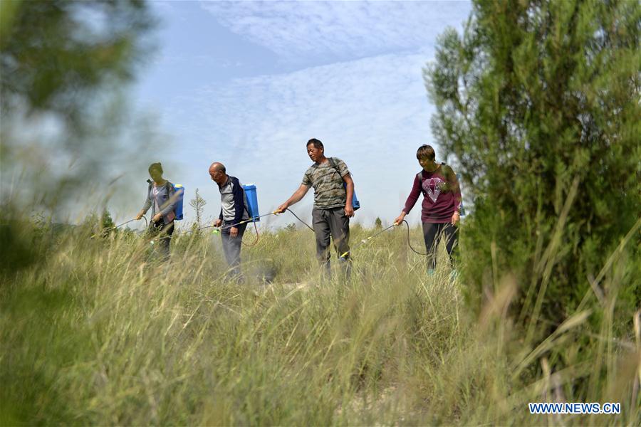 CHINA-REFORESTATION EFFORTS-WORLD LEADING (CN)