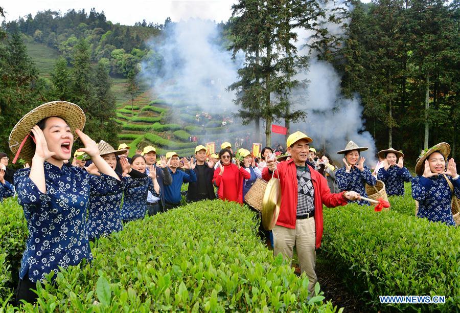 CHINA-FUJIAN-WUYISHAN-TEA GARDEN (CN)