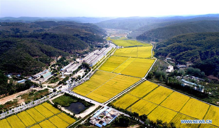 Xinhua Headlines: China's iconic revolutionary base Yan'an bids farewell to poverty