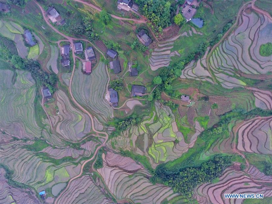 CHINA-SICHUAN-TERRACED LANDS (CN)