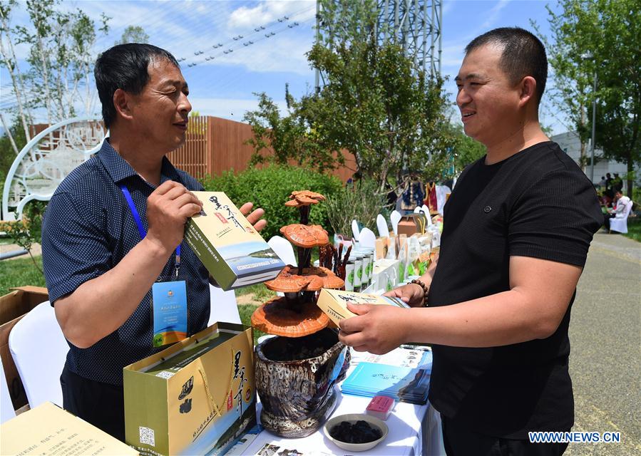 CHINA-BEIJING-HORTICULTURAL EXPO-HEILONGJIANG DAY (CN)