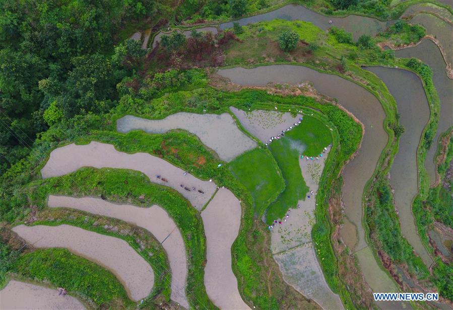 CHINA-GUANGXI-RONGSHUI-POVERTY ALLEVIATION (CN)