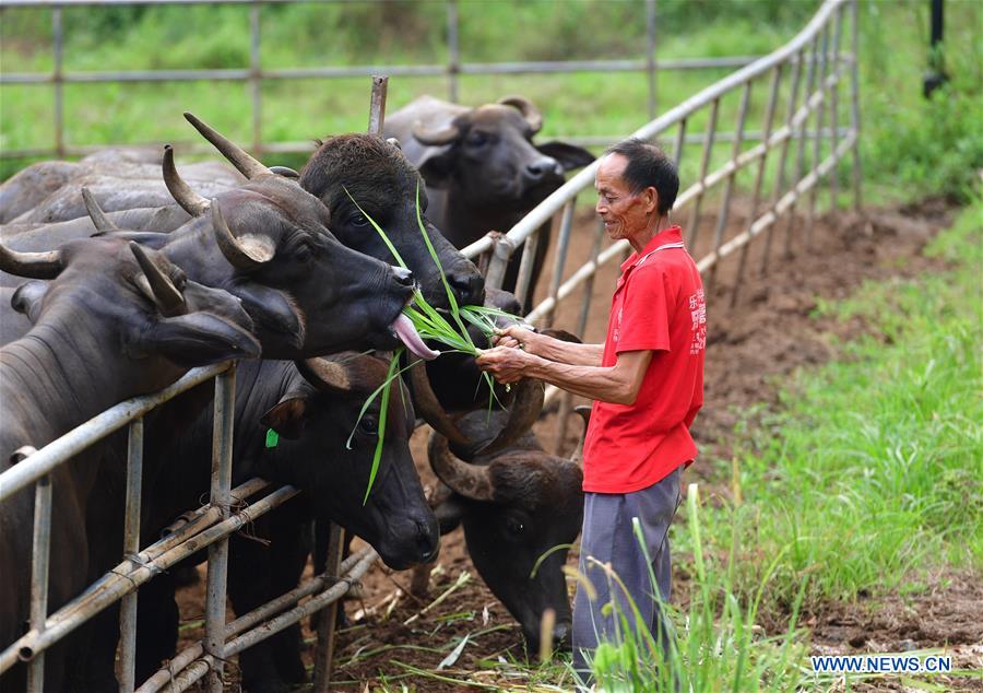 CHINA-GUANGXI-RONGAN-POVERTY ALLEVIATION (CN)