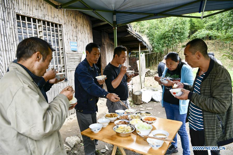 CHINA-CHONGQING-NANCHUAN-BAMBOO SHOOTS-COLLECTOR (CN)