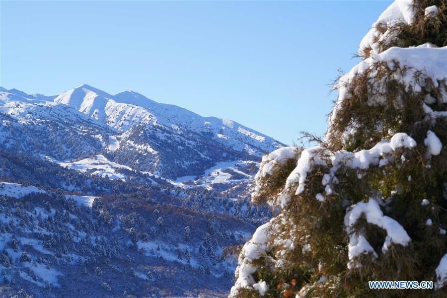 UZBEKISTAN-TASHKENT-WINTER VIEWS