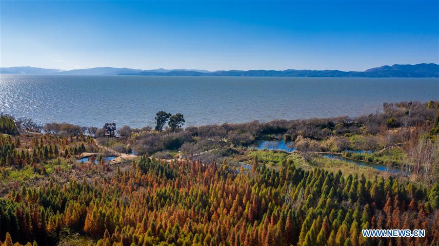 CHINA-YUNNAN-KUNMING-LAOYUHE WETLAND PARK-WINTER VIEW(CN)