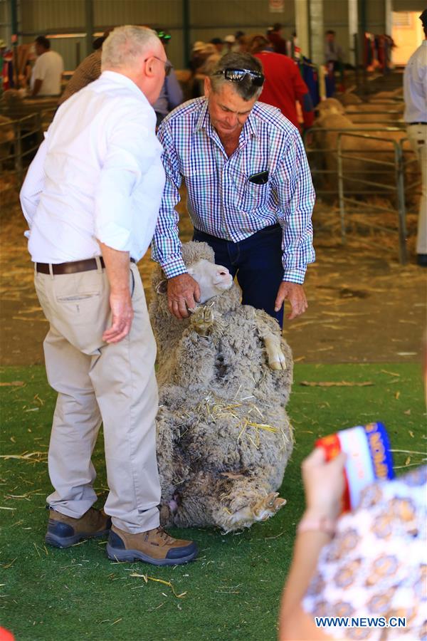 AUSTRALIA-CANBERRA-ROYAL CANBERRA SHOW