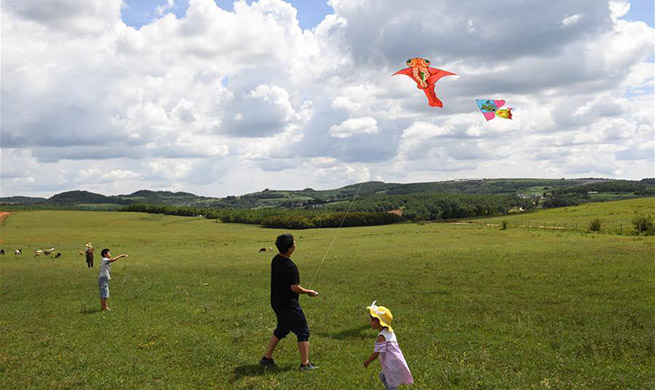 Scenery of Beidaying Grassland in SW China's Yunnan