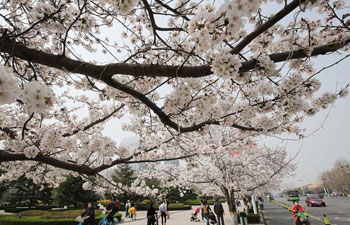 Flowers bloom in spring across China