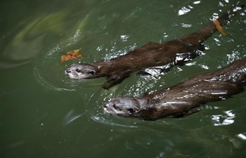 Zookeepers help animals fend off heatwave in Hangzhou