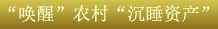 關(guān)鍵字3：“喚醒”農(nóng)村“沉睡資產(chǎn)”