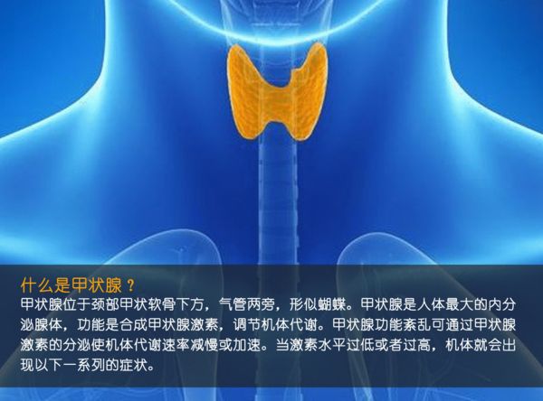 關(guān)注甲狀腺健康，你應(yīng)該知道的那些事