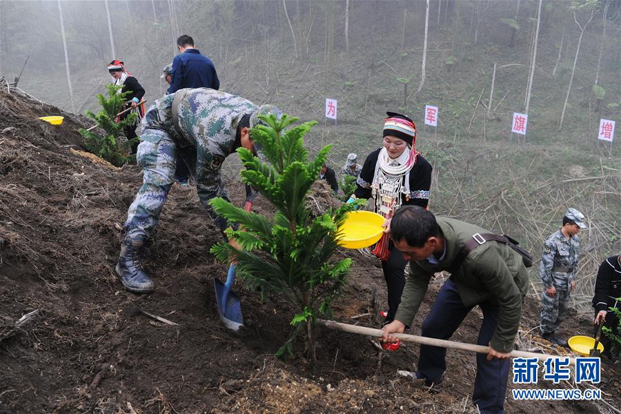 （圖文互動(dòng)）（6）和平年代，離死神最近的人——南部戰(zhàn)區(qū)陸軍云南掃雷大隊(duì)邊境掃雷排爆記事