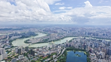 雨后城市濕地美