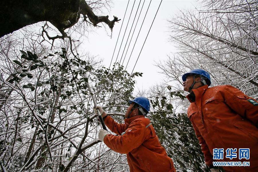 （新華全媒頭條）（8）雨雪冰凍中，他們奮力前行——基層黨員干群抗擊冰雪災害紀實