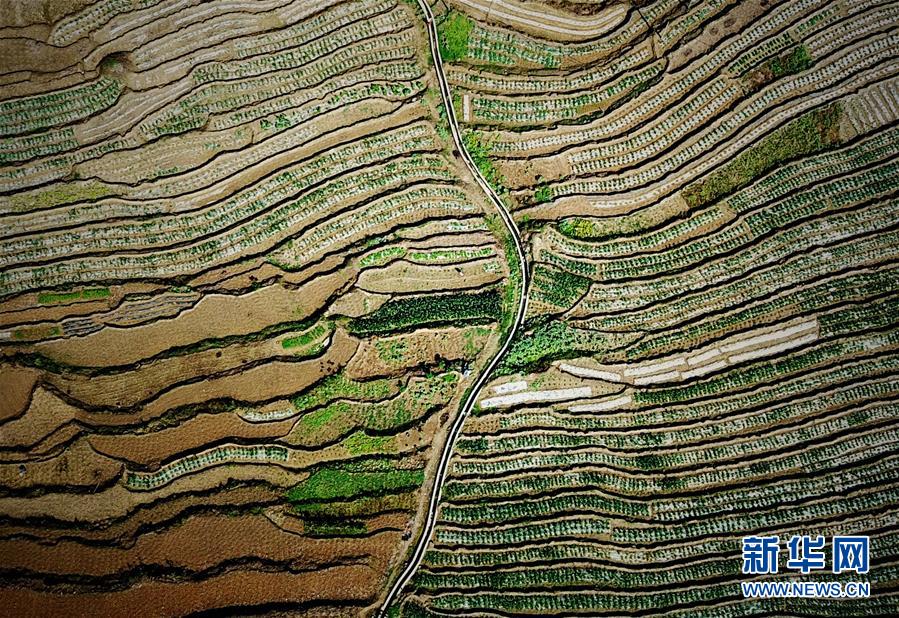 （春季美麗生態(tài)）（1）飛閱邊關山田春景