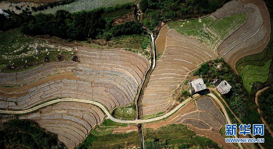 （春季美麗生態(tài)）（7）飛閱邊關(guān)山田春景