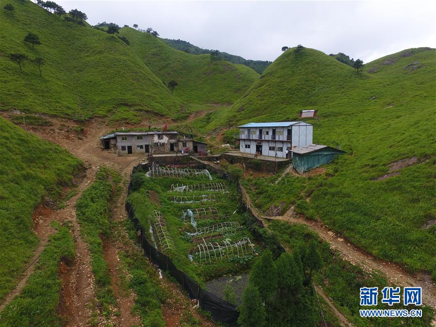 （新華全媒頭條·圖文互動）（3）一個人，一座山——劉真茂的生命守望