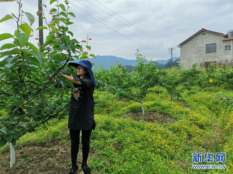 （壯麗70年·奮斗新時代·圖文互動）（1）縣域經(jīng)濟強縣的“扶貧經(jīng)”——來自湖南瀏陽市的脫貧攻堅調(diào)查