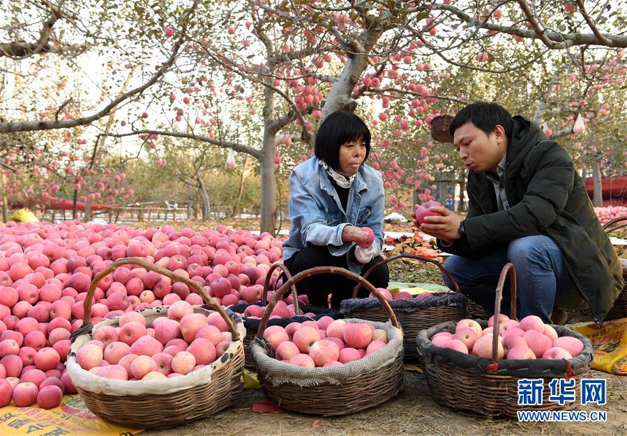 （圖文互動）（4）傳遞溫暖和友愛 為了更好的明天——寫在第29次全國助殘日