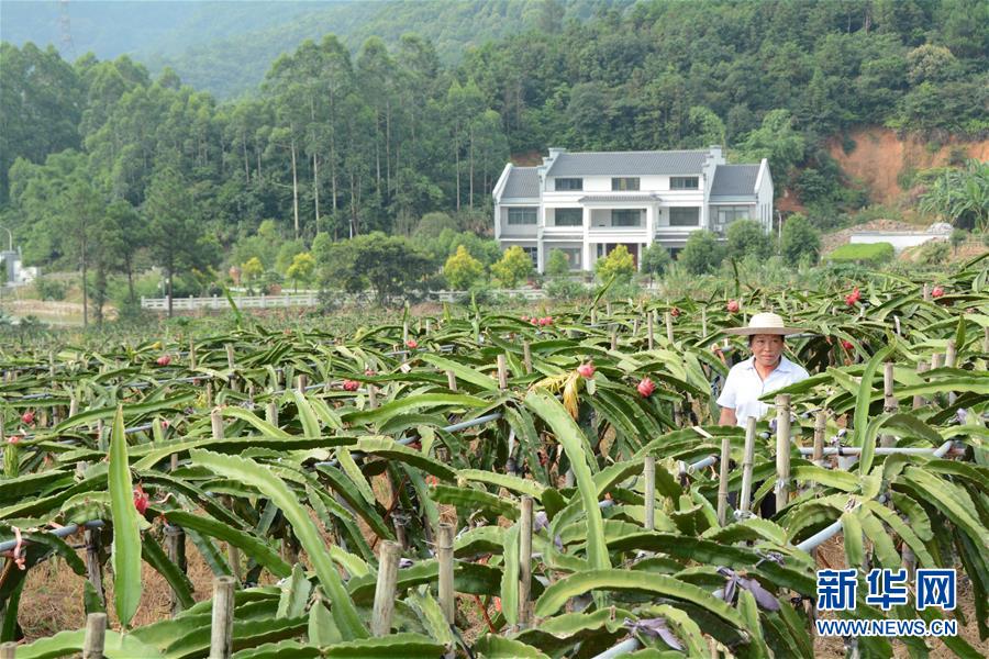 （在習(xí)近平新時(shí)代中國(guó)特色社會(huì)主義思想指引下——新時(shí)代新作為新篇章·總書(shū)記關(guān)心的百姓身邊事·圖文互動(dòng)）（6）大污染變身“大寶藏”：治理畜禽糞污，他們這樣干！