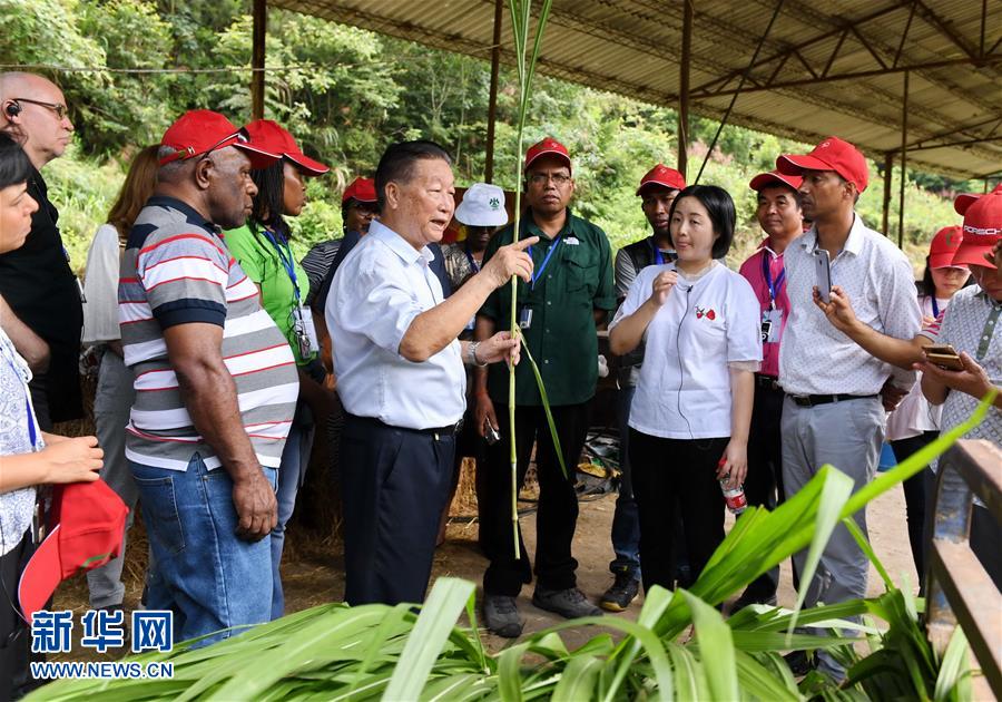 （不忘初心、牢記使命·圖文互動）（5）拳拳寸草心 濃濃報國情——記“菌草之父”林占熺