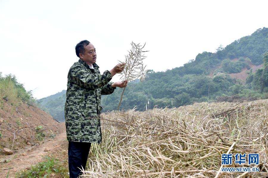 （代表委員履職·圖文互動）（1）“我是農民代表，始終關注農村”——全國人大代表沈昌健的履職故事