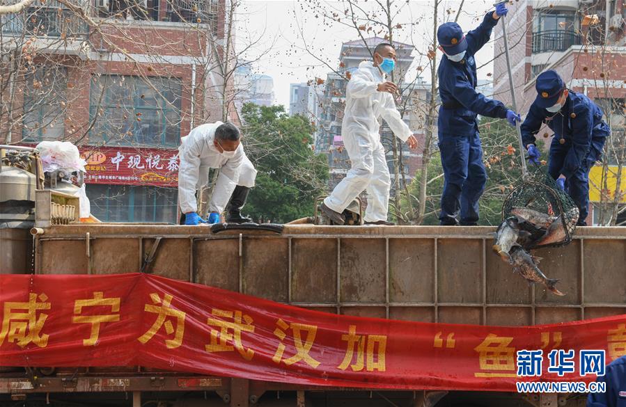 （新華全媒頭條·圖文互動）（12）從人民中汲取磅礴力量——習(xí)近平總書記同出席2020年全國兩會人大代表、政協(xié)委員共商國是紀(jì)實