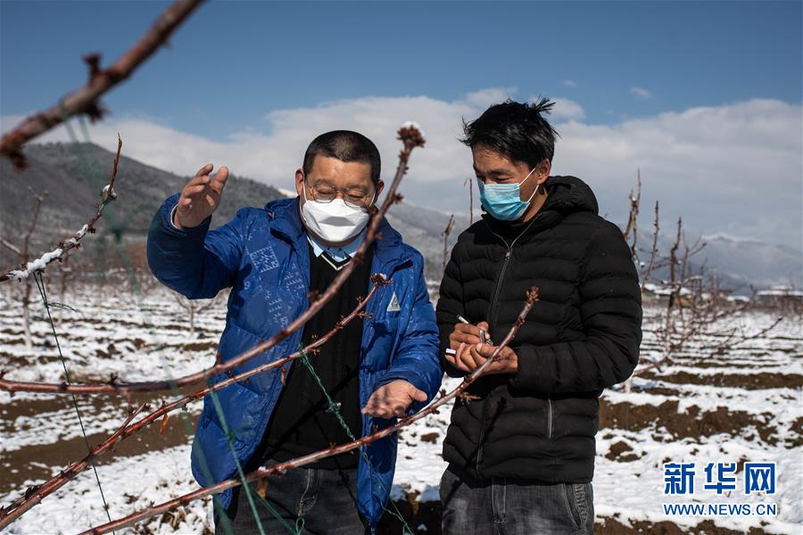 （決戰(zhàn)決勝脫貧攻堅·聚焦三區(qū)三州·圖文互動）（4）拓展新天地——云南迪慶藏區(qū)“新產(chǎn)業(yè)”掠影