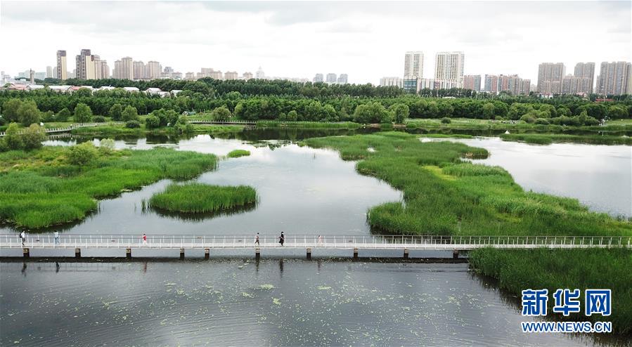 （走向我們的小康生活·圖文互動(dòng)）（1）水清、地綠、空氣新——最北省份黑龍江繪就生態(tài)治理新畫卷