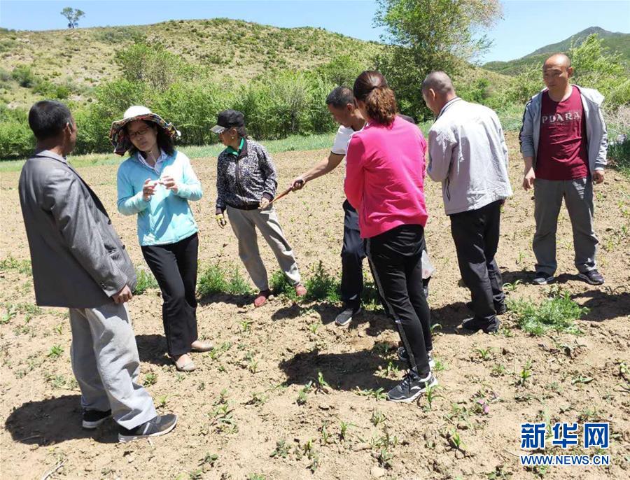 （新華全媒頭條·圖文互動）（9）來自北京的科技扶貧答卷