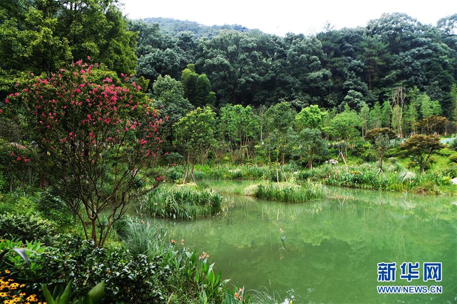 （走向我們的小康生活·圖文互動(dòng)）（1）從“靠山吃山”到“養(yǎng)山富山”——重慶縉云山的“綠色辯證法”