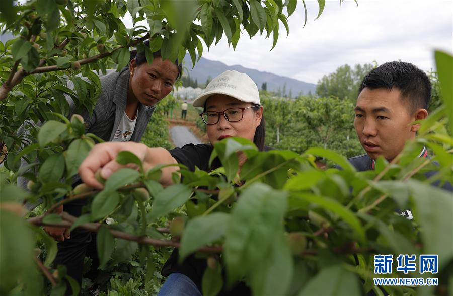 （決戰(zhàn)決勝脫貧攻堅·督戰(zhàn)未摘帽貧困縣·圖文互動）（3）12000多個“火種”點亮大涼山